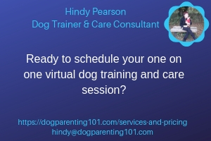 virtual dog training service