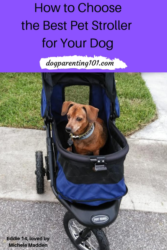 How to Choose the Best Pet Stroller for Your Dog