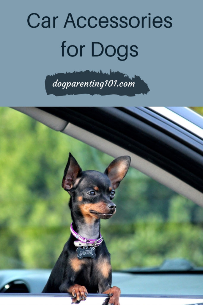 Car Accessories for Dogs